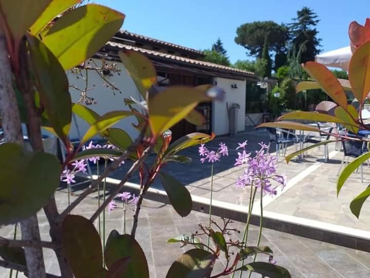 Borgo Nicoletta Case Per Le Vacanze Filandari Экстерьер фото
